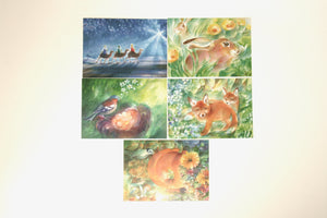 Monats Postkarten 13 Set  / Marie Laure Viriot  / Jahreszeitentisch / Waldorf