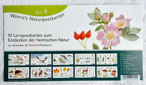 Natur Postkarten Set 4 / Jahreszeitentisch / Naturpostkarten / Igel / Greifvögel / Vogeleier / Wawra / Natur