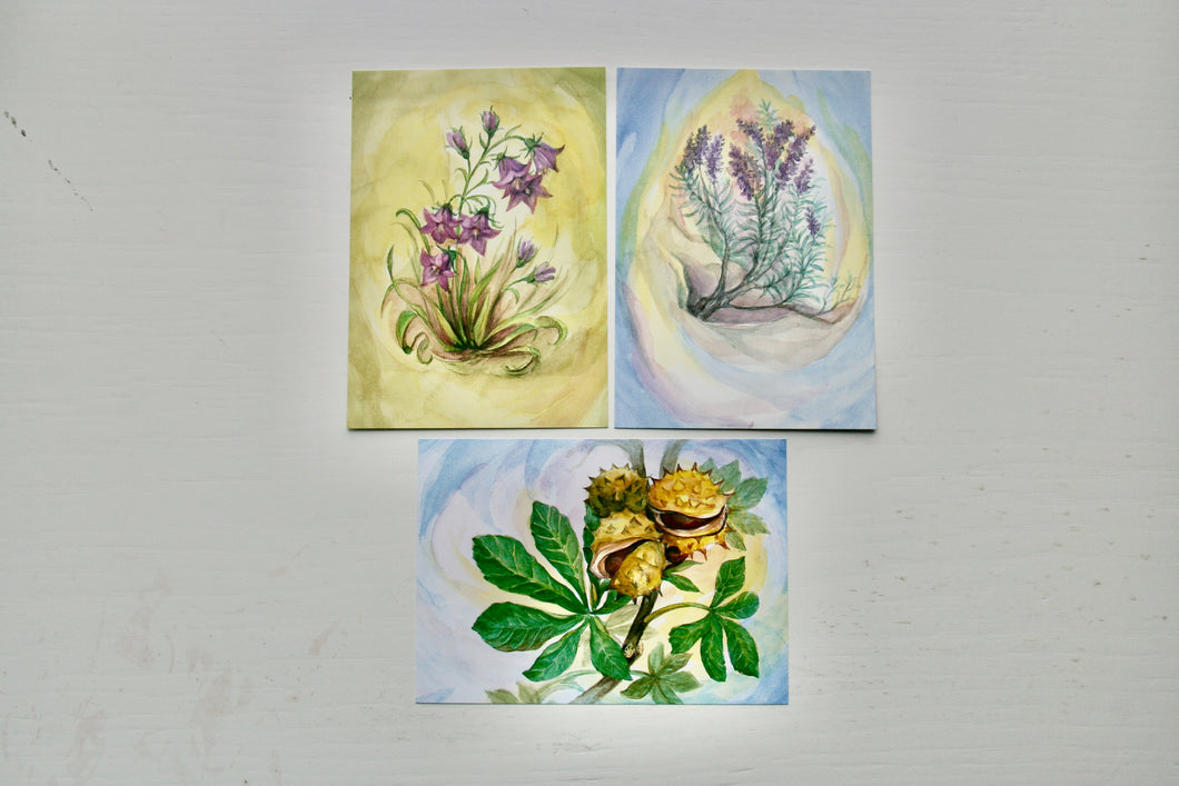 Pflanzen Postkarten Set / Jahreszeitentisch / Waldorf / Pflanze / Herbst / Kastanie