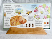 Laden Sie das Bild in den Galerie-Viewer, Natur Postkarten Set 3 / Jahreszeitentisch / Naturpostkarten / Biene / Honigbiene / Frösche / Wawra / Natur