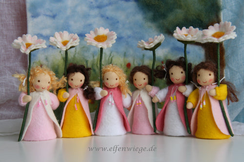 Gänseblümchen 