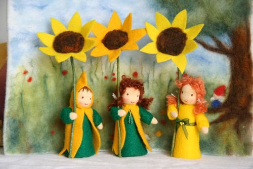 Sonnenblume 