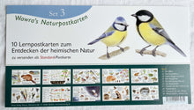 Laden Sie das Bild in den Galerie-Viewer, Natur Postkarten Set 3 / Jahreszeitentisch / Naturpostkarten / Biene / Honigbiene / Frösche / Wawra / Natur