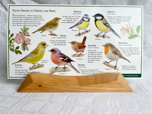 Natur Postkarten Set 3 / Jahreszeitentisch / Naturpostkarten / Biene / Honigbiene / Frösche / Wawra / Natur