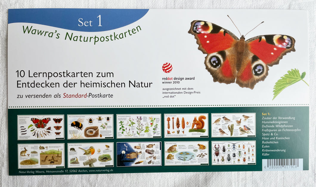 Natur Postkarten Set 1 / Jahreszeitentisch / Naturpostkarten / Hummel / Käfer / Rotkehlchen / Eule / Wawra / Natur