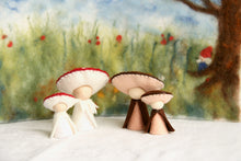 Laden Sie das Bild in den Galerie-Viewer, Pilze 4 Set Jahreszeitentisch Fliegenpilz Steinpilz