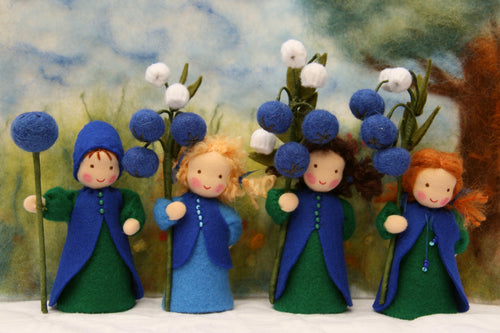 Heidelbeere, Blaubeere, 